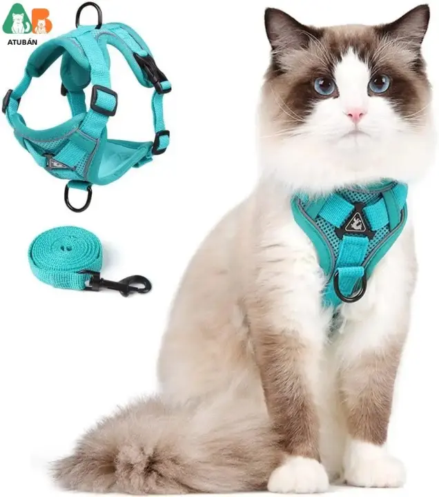 Juego De Correa Y Arnes Para Gato Mejorado Antirrueda Ajustable Chaleco Para Caminar Al Aire Libre Con Tirantes Reflectantes Para Noche Oscura - 1
