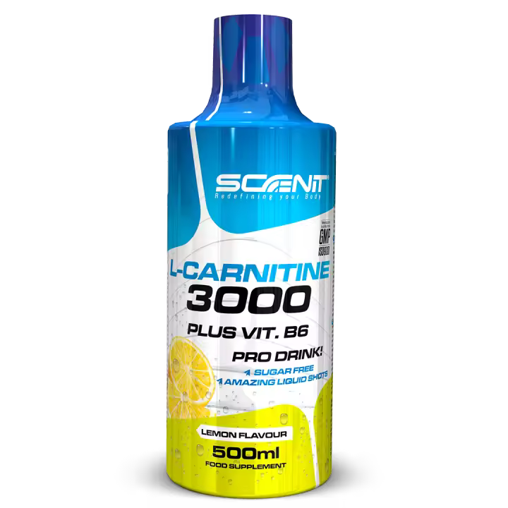 L Carnitina 3000 - L Carnitina Liquida 500 ml - Carnitina Liquida 3000 - Carnitina Liquida - L-Carnitina 3000 - L Carnitina Viales - L Carnitina - l - carnitina (1 bote de 500 ml) - 1