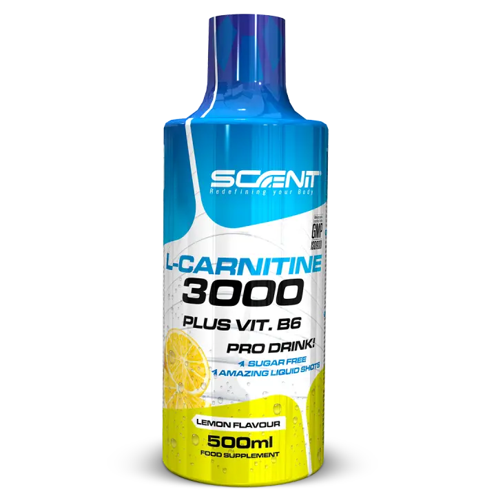 L Carnitina 3000 - L Carnitina Liquida 500 ml - Carnitina Liquida 3000 - Carnitina Liquida - L-Carnitina 3000 - L Carnitina Viales - L Carnitina - l - carnitina (1 bote de 500 ml) - 1