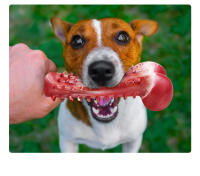 Juguetes Resistentes Para Masticar Para Perros Grandes Sabor a Carne Indestructibles Bonecos De Limpieza De Dientes Para Perros Juguetes Para Masticar - details 5