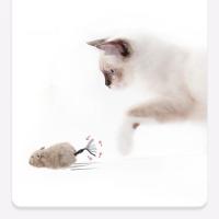 Juguete De Peluche Divertido Y Realista Ratón Para Gatos Y Perros Con Cola Ratón De Tela Para Mascotas Y Niños Color Aleatorio - details 1