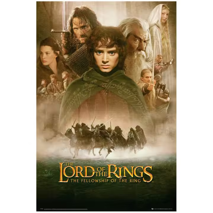 Poster El Señor de los Anillos, Fellowship of the Ring, 91,5 x 61 cm, 170 g/m2 - 1