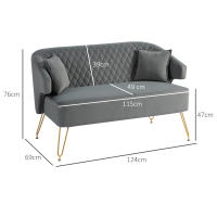 HOMCOM Sofá de 2 Plazas Tapizado en Terciopelo Sofá de Salón con 2 Almohadas Reposabrazos y Patas de Acero Doradas Sofá Pequeño Carga 240 kg para Dormitorio Oficina 124x69x76 cm Gris - details 2
