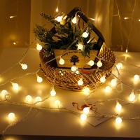 Cadena De Luces LED De Bola Con Batería 6M Para Decoración De Jardín Fiesta Bodas Y Navidad Autónoma Apto Para Exterior - details 3
