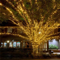 Luces De Cadena LED Solar Para Exterior Impermeables Decoración De Jardín Navidad Farolillos De Aire Festivos - details 10