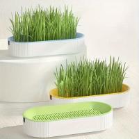 Caja De Plantación De Hierba Para Gatos Sin Semillas Caja De Semillero De Jardín Para Brotes De Semillas Set De Bandejas De Germinación De Semillas - details 7