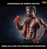 King Nutrition Creatina Monohidratada 100% Pura  200gr  66 Tomas  Creatina en polvo, Micronizada 200Mesh Sin Sabor, No-GMO  Vegano  Sin lactosa  Incluye dosificador - details 2