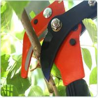 Sicatula De Podar Árboles Extensible 2 En 1 Tijeras Para Ramas Altas Herramientas De Jardín Podadora Trimmer De Acero Inoxidable Para Exterior - details 2