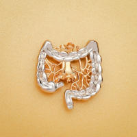 Broche De Anatomía Intestinal Hanreshe Para Médicos Y Enfermeras Regalo De Colección De Joyería Metal Unisex - details 5