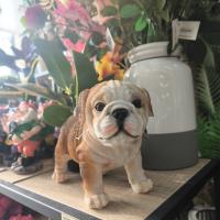 LILI HOME 🐶 Figuras de Perros de 🐾 Bulldog Inglés, 🐾 Bulldog Francés, 🐾 Dachshund (Salchicha) y 🐾 Jack Russell Terrier. Fabricadas en resina de alta calidad, resistente a golpes y al desgaste. 22 x 12 x 17 cm aproximadamente - details 7