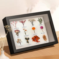 Marco De Fotos Cuadrado Con Esterilla Y Mariposa Specimen Hueco Marco De Pintura Al Óleo Para Familia Expositor De Imágenes Decoración Del Hogar - details 6