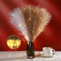 10PCS Pampas Boho Decor Flores Artificiales De Paja Simuladas 55CM Para Decoración De Casamiento Fiesta Hogar Material Seda - details 3