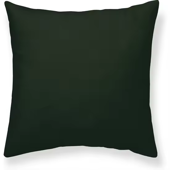 BL BELUM   Funda de almohada Harry Potter, Funda de almohada 100% algodón modelo Harry Potter Verde de 65X65 cm. - 1