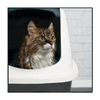 Bandeja sanitaria translúcida para puerta de inodoro de gato, cubierto de plástico arenero, Gris Oscuro grande 57X39X41cm, gris, caja cubierta, hierba gatera/cubierta de bandeja para gatos - details 3