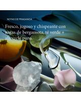 Living Proof No Frizz Conditioner. / El shampoo y acondicionador No Frizz son para cualquier persona con cabello propenso al frizz o cabello naturalmente rizado que busque un estilo liso y suave. - details 3