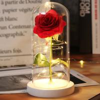 Rosa Bella y Bestia Rosa Eterna, Regalo Mujer Flores Artificiales con Luces LED, Flor Artificial de Lámina de Oro con Hojas Caídas, Regalos Originales para Mama Novia Cumpleaños Aniversario，san valentin - details 14