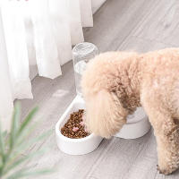Tazón Automático Para Perros Y Gatos Gran Capacidad Dispensador De Agua Y Alimento Para Mascotas Material Plástico - details 2