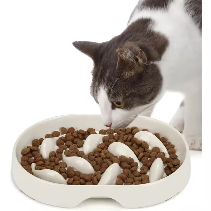 Comedero slow para Gatos antivómitos, Con Borde Elevado y antideslames, ideal para Comida húmeda y Seca, ideal para una Alimentación saludable (ovalado-Blanco) - 1