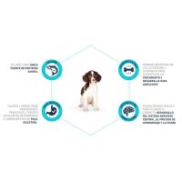 Advance Sensitive Puppy, Pienso para Perros Puppy de todos los tamaños con Sensibilidades Digestivas con Salmón, 12kg - details 2