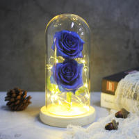 Lámpara De Rosas Rojas En Domos De Vidrio Base De Madera Belleza Y Bestia Regalo De San Valentín Y Navidad Decoración Para El Hogar - details 27