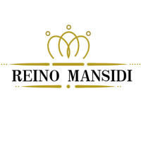 REINO MANSIDI - Pack 6 cojines 40x60cm suaves y transpirables - details 2