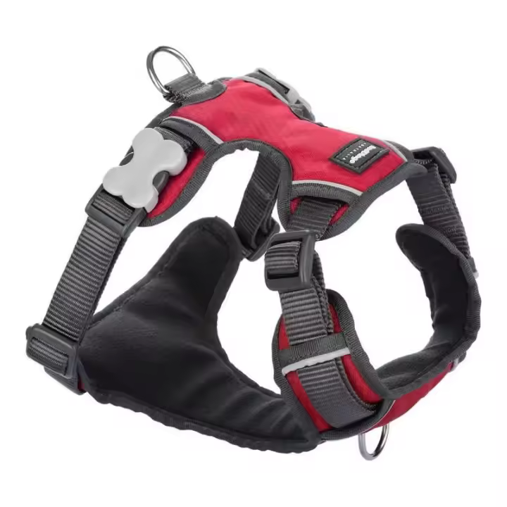 Arnés para Perro Red Dingo Acolchado Rojo S - 1