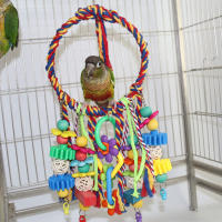 Juguetes Para Pájaros Colgantes De Anillos Y Swing Con Cordones De Madera Y Plástico Para Periquitos Juguete Mordedor De Madera Y Plástico Para Pájaros - details 0