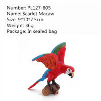 Figura De Acción De Papagayo Realista Serie De Pájaros Simulados Modelo Sólido Para Juguete Educativo Para Niños Regalos De Navidad - details 5