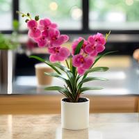 Orquídea Artificial Phalaenopsis En Maceta Planta Verde Para Jardín Oficina Hogar Bodas Y Decoración Interior Estilo Bonsái - details 8