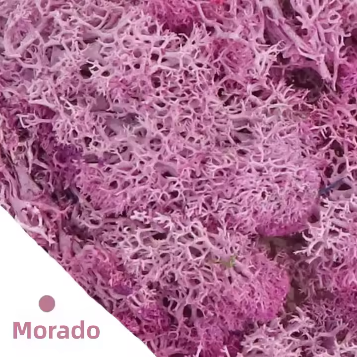 Plantas Artificiales De Moss Para DIY Decoración De Jardín Y Habitaciones Mini Landscape De Grama Falsa 20/40/100g Vida Eterna - 1
