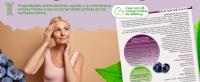Soria Natural Resverasor Plus 28 Tabletas - Fórmula Avanzada para la Salud Cardiovascular - Antioxidante celular - details 2