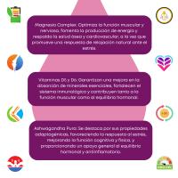 Magnesio Complex Vitalnatura | Citrato 1593 mg + Bisglicinato 600 mg (375mg Elemental) + Vitaminas B5, B6 y Ashwagandha Pura | Potencia y Energía Natural, Reduce el Estrés y el Cortisol, Músculos Fuertes, Sueño Reparador y Relajante | 3x 240 Cápsulas - details 2