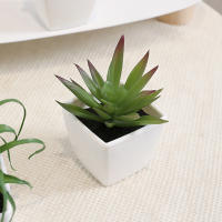 Mini Plantas Artificiales De Suculentas En Blanco Bonsái Set De 6 Piezas Para Decoración De Escritorio Y Ventana Interior - details 8