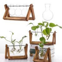 Vaso De Plantas Esterilizado En Vidrio Con Marco De Madera Vintage Jarrón Para Flores Y Bonsái Decoración De Escritorio Para El Hogar Vaso De Plantas Hydroponicas - details 7