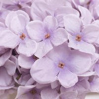 Bouquet De Flores Artificiales Moradas Para Novia Decoración De Fiesta De Boda Para Jardín Sala De Estar Casa - details 8