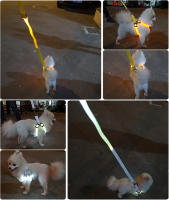 Arnes Ajustable Para Perro Con LED No Pull Nylon Brillante Para Pequeños Y Medianos Seguridad Nocturna Accesorios Para Mascotas - details 10