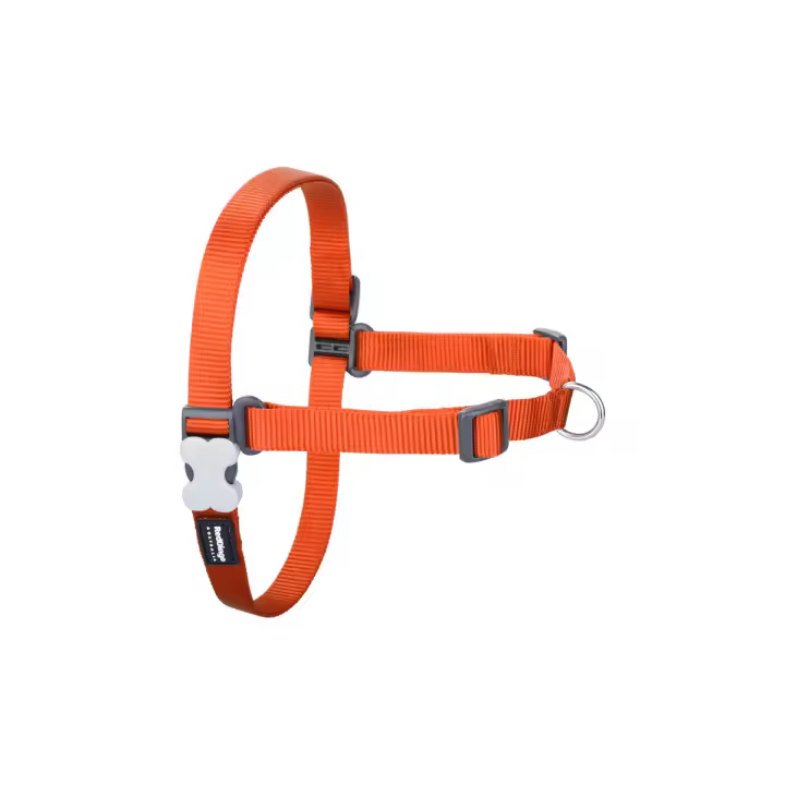 Arnés para Perro Red Dingo 36-50 cm Naranja S - 1