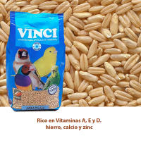 Vinci, Avena Pelada 1kg, 5kg, Semillas para Canarios, Jilgueros y otros Pájaros - details 0
