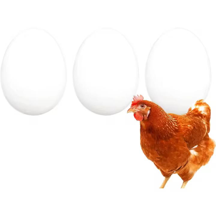 FINCA CASAREJO Pack Huevos Falsos de gallina - Huevos macizos en Color Blanco - 1