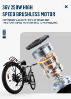 OT18-3 ONESPORT Bicicleta eléctrica estándar de la UE 26*2,35 pulgadas Neumáticos 250W Motor Ciudad eléctrica E-Bike 36V 14.4Ah Batería 25 km/h - details 2