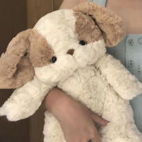 Muñeco De Peluche Perro De Buena Noche 30cm Regalo De Cumpleaños Suave Almohada Para Novia Animal De Ropa De Algodón PP - details 5