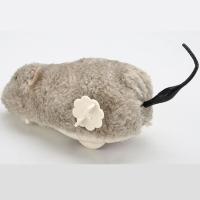 Juguete Para Gatos De Manteca Y Plástico Simulación De Rata De Cuarzo Duradero Juguete Interactivo Para Gatos En Interiores Alivio De Boredom Sin Baterías Suministros Para Mascotas - details 8