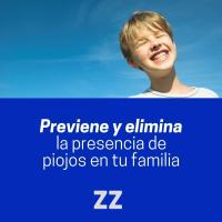 Zelnova Zeltia Loción Antipiojos 100 ml + Champú 125 ml | Solución Definitiva para Combatir Piojos y Liendres | Uso Doméstico | Tratamiento Eficaz y Seguro en una sola Aplicación | Fórmula con Permetrina - details 0