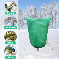 Bolsa De Protección Invernal Para Plantas Con Cremallera Y Cordón Cerrado Transpirable Anti-Frío Para Jardín - details 2