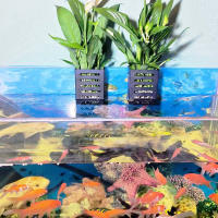 Soporte colgante para plantas de Acuario, fácil instalación, para formar una buena circulación interna - details 1