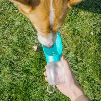 Botella Portátil Para Perros Y Gatos Pequeños Medianos Y Grandes Con Cuencos De Beber Para Caminar Y Viajar a La Montaña Resistente Al Desbordamiento Y Durable Con Textura Frosted - details 14