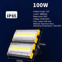 Proyector De Luz LED Exterior 50W 100W 150W Farol Impermeable Para Construcción Lámpara Reflectora De Fosa Iluminación De Exterior - details 5
