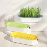 Caja De Plantación De Hierba Para Gatos Sin Semillas Caja De Semillero De Jardín Para Brotes De Semillas Set De Bandejas De Germinación De Semillas - details 1