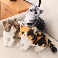 Muñeco De Peluche Realista Gato American Shorthair Simulación Juguete De Gato Bonito Decoración Para El Hogar Regalo Para Mascotas - details 5