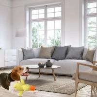 Juguete De Peluche Para Perros Con DUCK Stormtrooper Dormido Masticable Y Resistente Al Desgaste Juguetes De Voz Para Mascotas Juguetes De Alivio De La Boredom - details 11